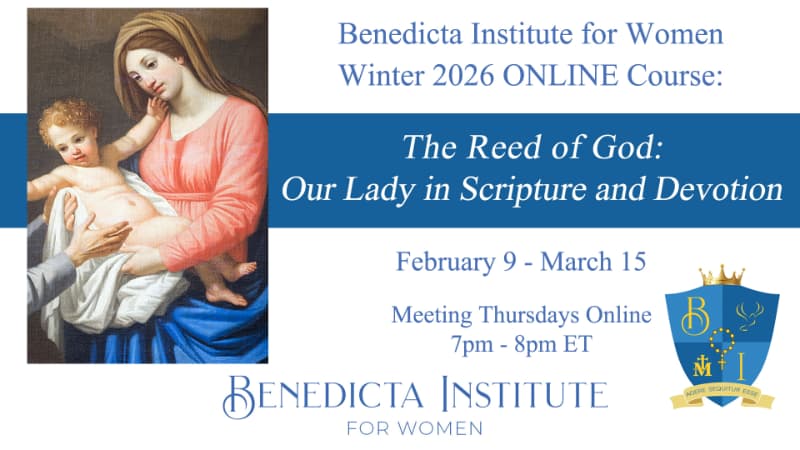 Register and grow in your Catholic faith!