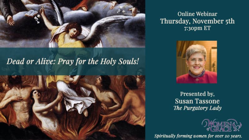 Get answers to purgatory's most popular questions!