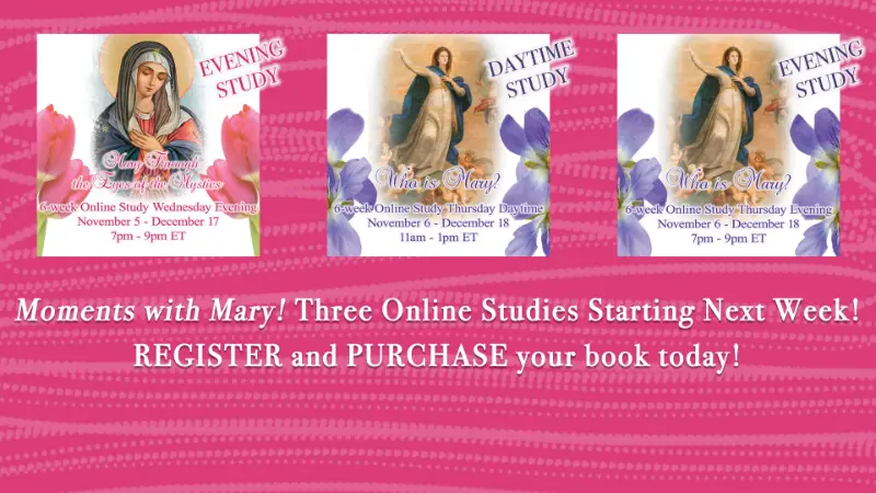 Grow in Holiness and Virtue this Advent!!