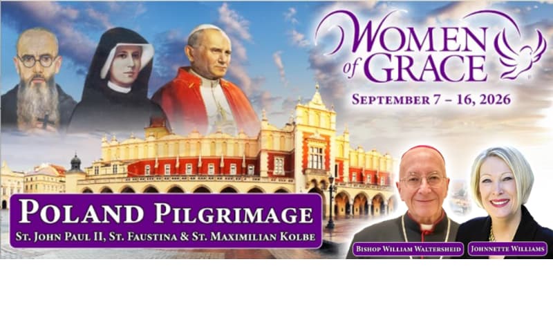 Join us in Poland with 206 Tours!